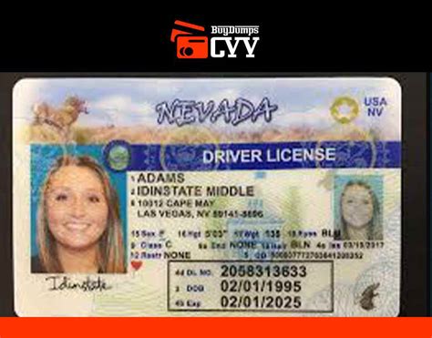 ) and populate the information from the ID into a digital form. . Free fullz 2022 drivers license scan both sid